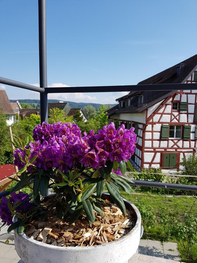 Garni-Hotel Muehletal Stein Am Rhein Extérieur photo