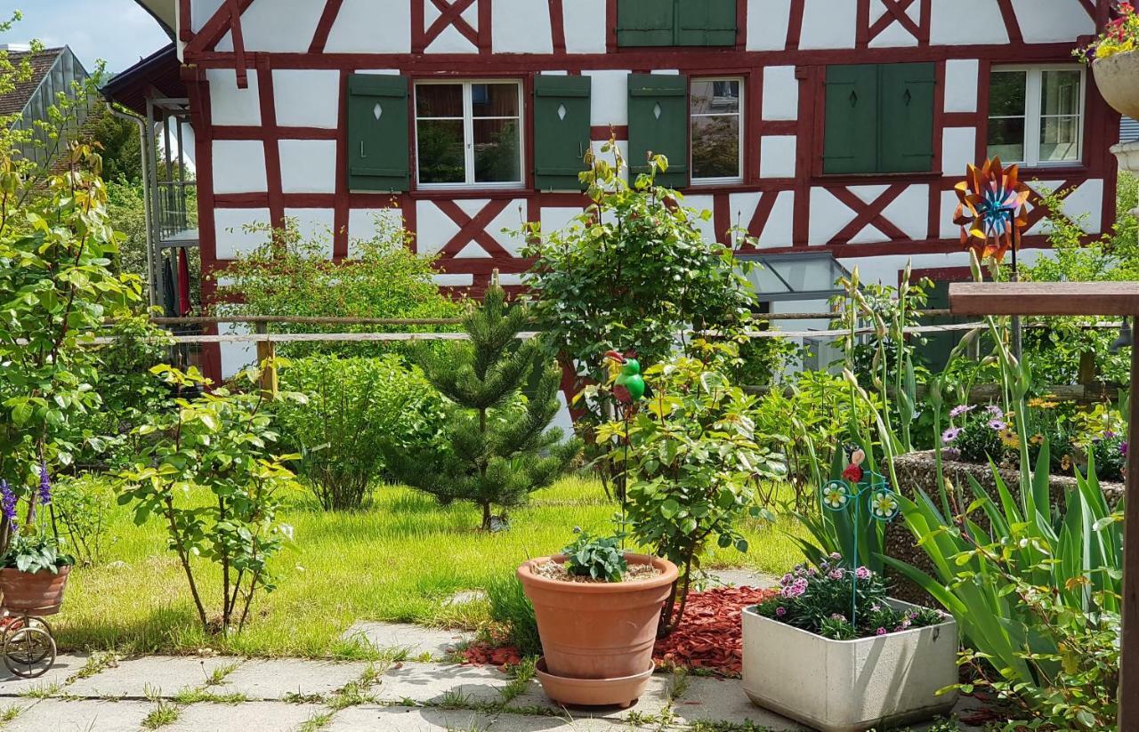 Garni-Hotel Muehletal Stein Am Rhein Extérieur photo