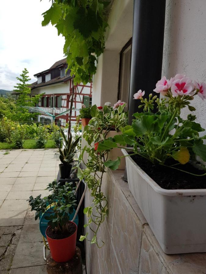 Garni-Hotel Muehletal Stein Am Rhein Extérieur photo