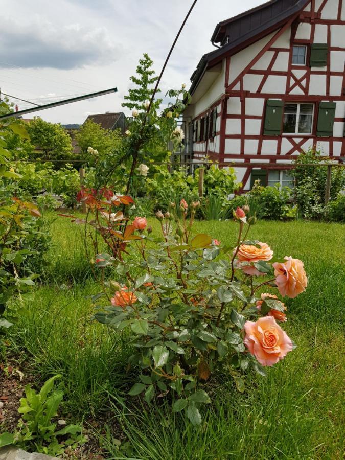 Garni-Hotel Muehletal Stein Am Rhein Extérieur photo